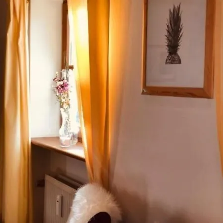 Ferienwohnung In Mit Grill Und Gemeinschaftlichem Pool * هاوتسنبرغ